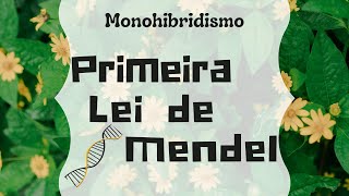 Primeira Lei de Mendel🌼 Aula de Genética 02  Biologia na Yra [upl. by Alphard]