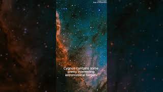 Constellation Short  Cygnus space astronomy constellation space ourgalaxy [upl. by Enitsua]