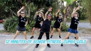 12 Minutes of Senior Dance Fitness Zumba Gold with Keep On Moving KOM [upl. by Gauldin]