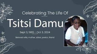 Celebrating The Life Of Tsitsi Damu [upl. by Aneertak]