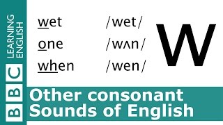 English Pronunciation 👄 Consonant  w  wet one and when [upl. by Ahsinad]