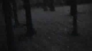 DISTURBING FOOTAGE  unknown creature attack [upl. by Aicilaf920]