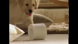 Kleenex Cottonelle Toilet Paper Australia Advert [upl. by Eicak]