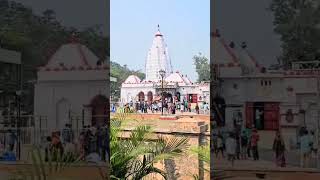 trending Samaleswari Temple Sambalpur [upl. by Bordy680]