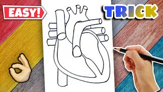 Heart Diagram  Easy Class 10 [upl. by Previdi]