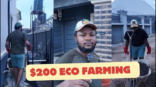 200 Eco Farming in my Compound Abuja Nigeria [upl. by Goines]