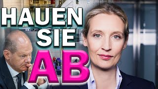 🇩🇪 Alice Weidel Demo 080124 RÜCKTRITT ‼️ [upl. by Oirobil]