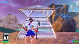 Fortnite RTX 4060 Ti 8GB  R5 5600X Low Settings  300 FPS [upl. by Ariajaj]