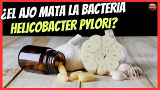 ¿EL AJO MATA LA BACTERIA HELICOBACTER PYLORI [upl. by Artenahs]