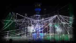 Jashane Ameer Qasim ibne Hassan AS  INTRODUCTION  Syed Mir Hasan Mir Part1 25515 [upl. by Meeharb]