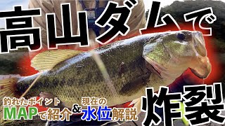 【高山ダム】秋のバス釣り！ボイルからの強烈バイト！〜釣れたポイントをMAPで紹介＆現在の水位解説〜 [upl. by Halpern]