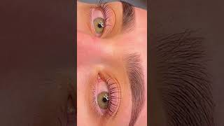 Depilation Henna Brows amp Lash Lifting [upl. by Ramaj]