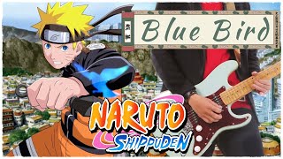 Naruto Shippuden Op3  Blue Bird  Guitar Cover [upl. by Fromma806]