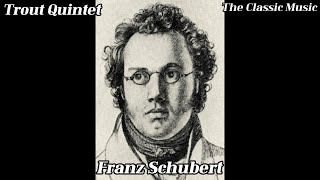 Trout Quintet  Franz Schubert [upl. by Arikehs344]