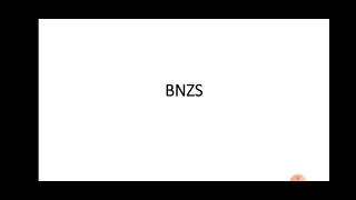 BNZS CODE binary N zero substituition [upl. by Tanney]