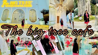 Best the big tree cafe jaipur  bestcafe luxury video viral vlog viralvideo viralvlog yt [upl. by Enner]