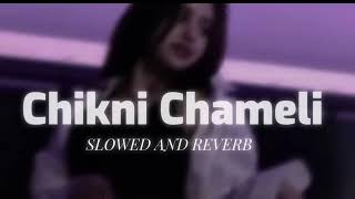 CHIKNI CHAMELI SONG [upl. by Ahsikel]