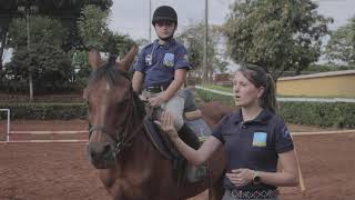 AULA DE EQUITAÇÃO  EXERCÍCIO PARA OLHAR PRA FRENTE NO SALTO INICIANTES [upl. by Sasnett]