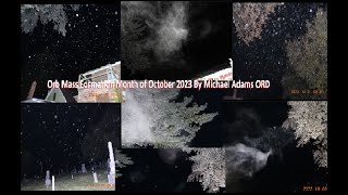 Mass Formation Terrestrial Orbs filmed in the Month of Oct 2023 [upl. by Amled]