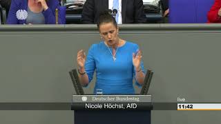 AfD Nicole HöchstUnsere Bildungsnation fährt laut krachend an die Wand [upl. by Katharyn]