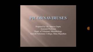 Picornaviruses and FMD Veterinary virology lectures by Dr Apurva Gupta [upl. by Matheson305]