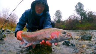 NEW TECHNIQUE UNLOCKED for Catching Steelhead [upl. by Noillimaxam]