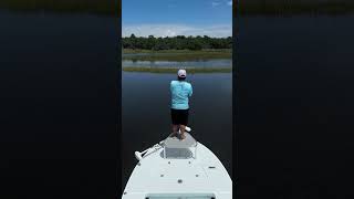 St Augustine Floodtide Fishing historiccoastoutfitters Redfish Floodtide sightfishing [upl. by Otnas]