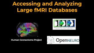 Accessing and Analyzing Neuroimaging Databases [upl. by Ardekan]