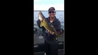 Ted Takasaki trolling structure for Walleye with Off Shore Planer Boards [upl. by Goulette]