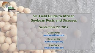 SIL Soybean Disease Diagnostic Guide Webinar [upl. by Nayb112]