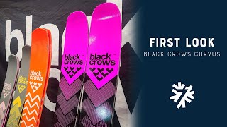 20242025 Black Crows Corvus Quick Review  Powder7 [upl. by Haissi636]