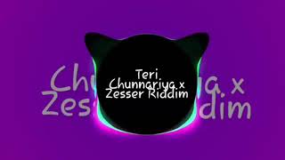 Teri Chunnariya x zesser riddim [upl. by Bil]