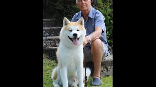 The grandfather amp Akita Inu Shinzen [upl. by Ekim980]