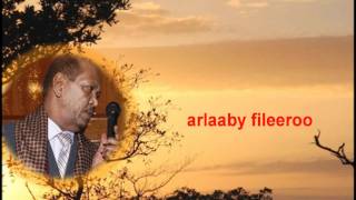 MAAY LYRICS  SAMATAR IYO HEESTII IRY DHIIMOO [upl. by Bashemeth509]