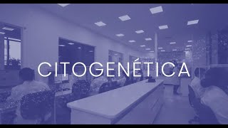 Conheça a Citogenética do DB Molecular [upl. by Anselme]