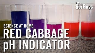 The Sci Guys Science at Home  SE2  EP4 Red Cabbage pH Indicator  Acid Base Indicator [upl. by Bayly]