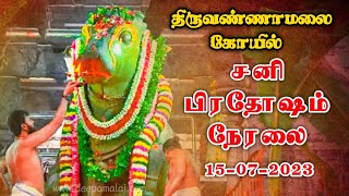 🔴Arulmigu Arunachaleswarar temple pradhosham vazhipadu 17092024 பிரதோஷ வழிபாடு திருவண்ணாமலை நேரலை [upl. by Beaudoin]