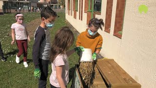 Prix climat des écoles  École Désirée Clary  SavignyleTemple [upl. by Yim]