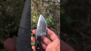 Damascus steel Skinner knife thewizcrafts youtubeshorts skinnerknife sharp damascus viral [upl. by Jos]