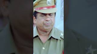 చంద్ర మోహన్ amp బ్రహ్మీ సూపర్ కామెడీ😂  Ali Super Comedy Scene  Ramachari Movie  Venu  ytshorts [upl. by Ynehpets52]