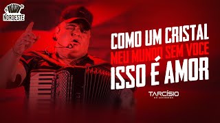 TARCÍSIO DO ACORDEON  Como Um Cristal  Meu Mundo Sem Você  Isso É Amor [upl. by Elhsa]