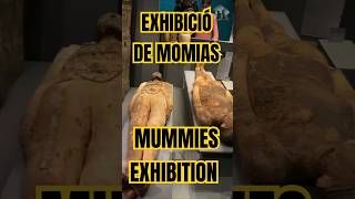 EXHIBICIÓN DE MOMIAS MMUMMIEE EXHIBITION [upl. by Haroved905]