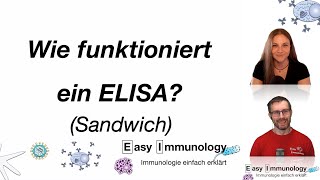 Methoden Wie funktioniert der Sandwich ELISA [upl. by Adnilam591]