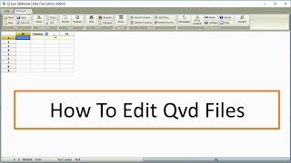 QEye Software  How To Edit Qvd Files [upl. by Refenej]