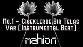 No1  Çiçeklerde Bir Telaş Var Instrumental Beat [upl. by Barth]