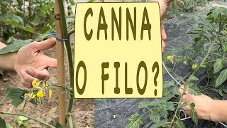 LEGARE POMODORI  canna o filo [upl. by Woodhouse]