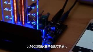 IN9 Bargraph neon tube VU meter [upl. by Einhoj]