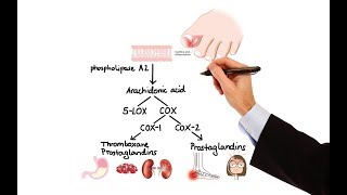 fibrinolytic and antiplatelet drugs  classification and mechanism of action  Thrombolytic [upl. by Eserahs]