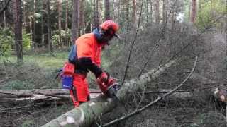 Working with chainsaws Limb calmly and methodically [upl. by Tap]