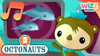 Adorable Dolphins  Songs for Kids  Octonauts  Wizz Music [upl. by Neelyt]